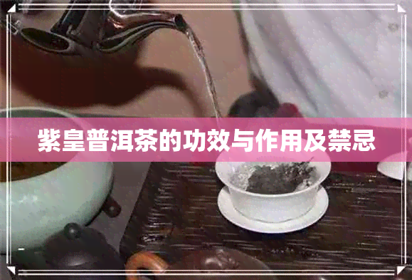 紫皇普洱茶的功效与作用及禁忌