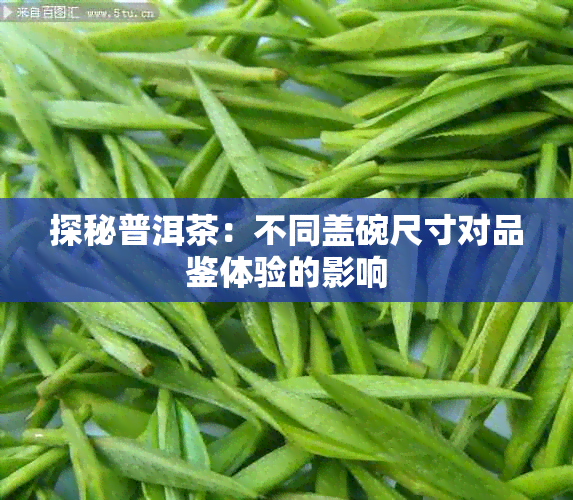 探秘普洱茶:不同盖碗尺寸对品鉴体验的影响