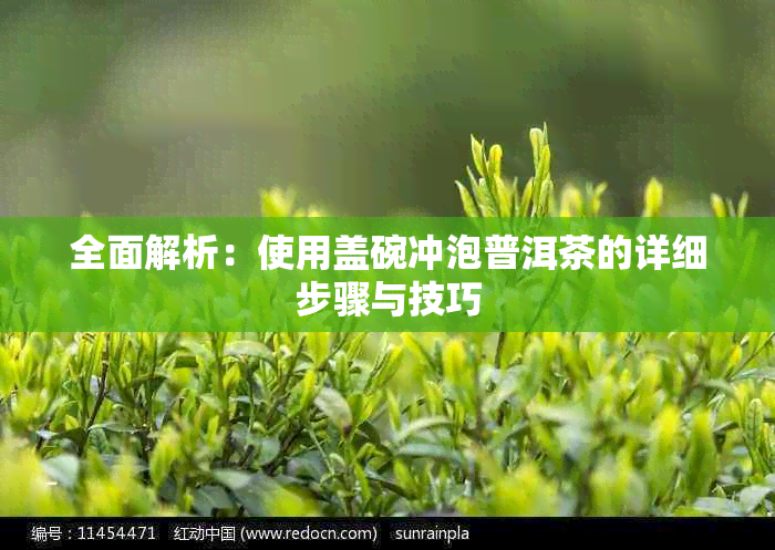 全面解析:使用盖碗冲泡普洱茶的详细步骤与技巧