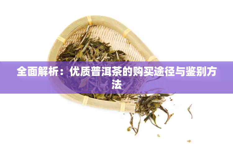 全面解析:优质普洱茶的购买途径与鉴别方法