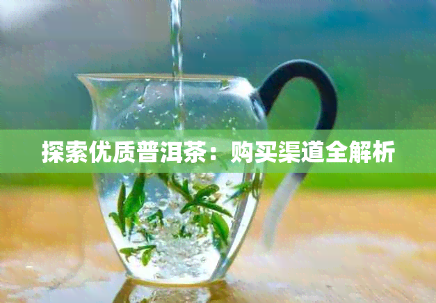 探索优质普洱茶:购买渠道全解析