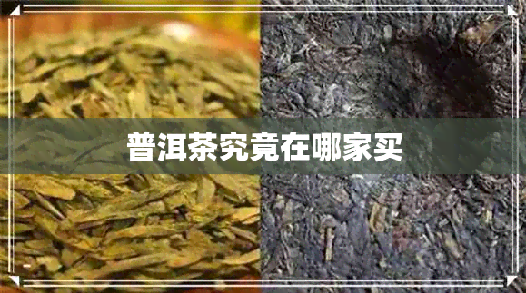 普洱茶究竟在哪家买 普洱茶究竟在哪家买