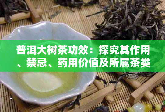 普洱大树茶功效:探究其作用、禁忌、用价值及所属茶类