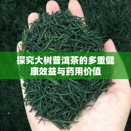 探究大树普洱茶的多重健康效益与用价值