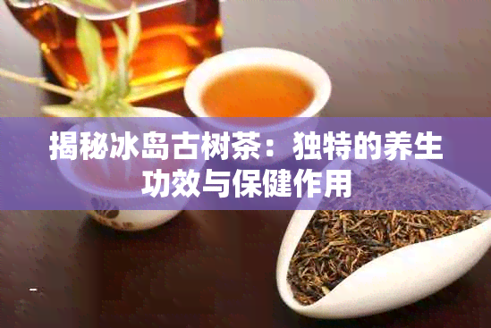 揭秘冰岛古树茶:独特的养生功效与保健作用