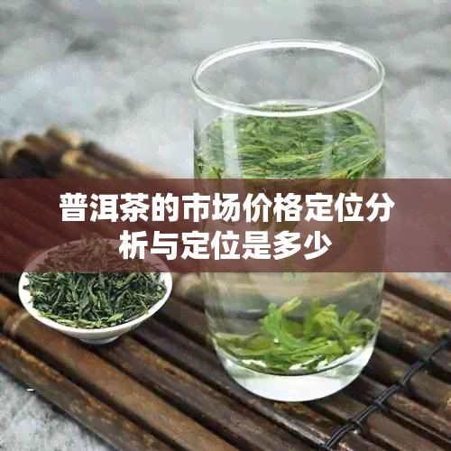 普洱茶的市场价格定位分析与定位是多少