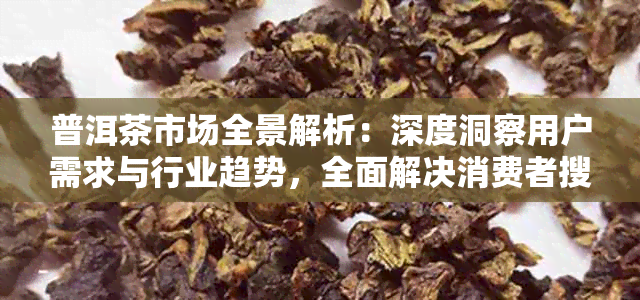 普洱茶市场全景解析:深度洞察用户需求与行业趋势,全面解决消费者搜索疑问