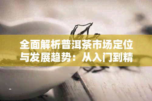 全面解析普洱茶市场定位与发展趋势:从入门到精通
