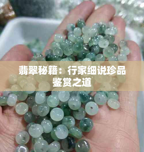 翡翠秘籍:行家细说珍品鉴赏之道