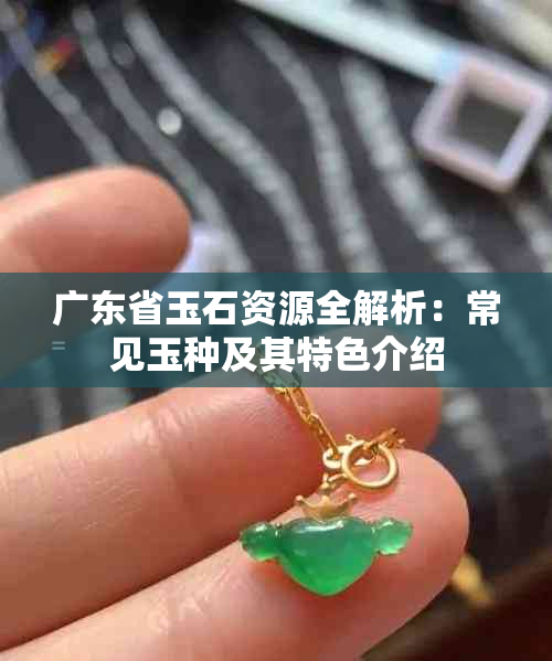 广东省玉石资源全解析:常见玉种及其特色介绍