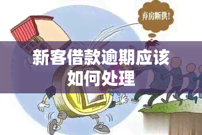 新客借款逾期应该如何处理