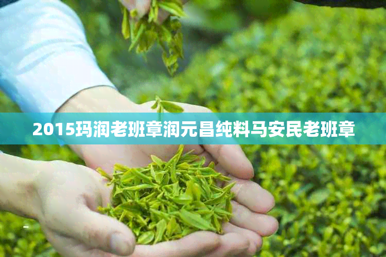 2015玛润老班章润元昌纯料马安民老班章