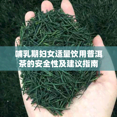 哺乳期妇女适量饮用普洱茶的安全性及建议指南