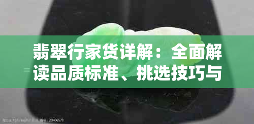 翡翠行家货详解:全面解读品质标准、挑选技巧与市场价值评估