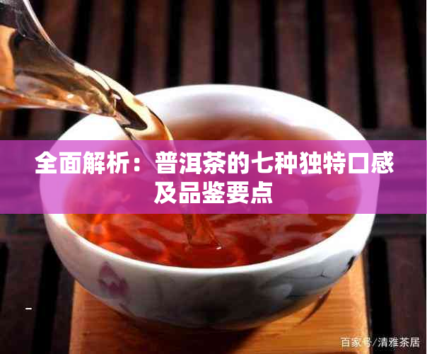 全面解析：普洱茶的七种独特口感及品鉴要点