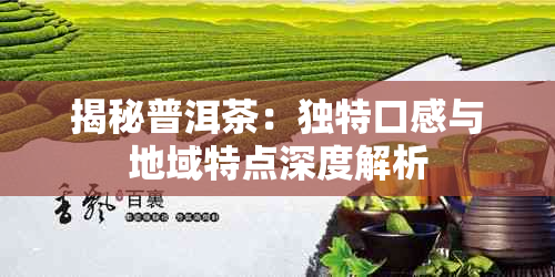 揭秘普洱茶：独特口感与地域特点深度解析