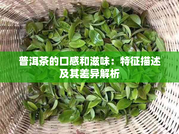 普洱茶的口感和滋味：特征描述及其差异解析