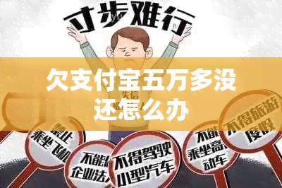 欠支付宝五万多没还怎么办