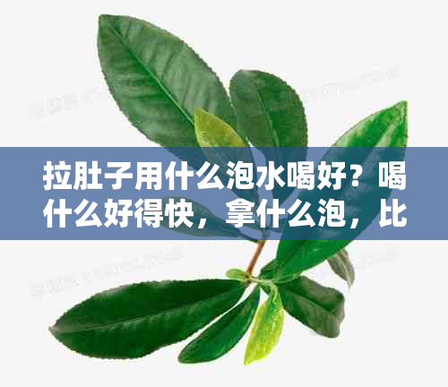 拉肚子用什么泡水喝好？喝什么好得快，拿什么泡，比较好的选择