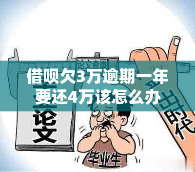 网贷欠3万逾期一年要还4万该怎么办