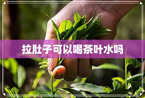 拉肚子可以喝茶叶水吗