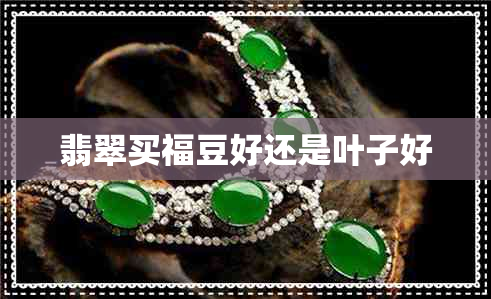翡翠买福豆好还是叶子好 翡翠买福豆好还是叶子好