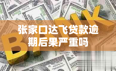 张家口达飞贷款逾期后果严重吗