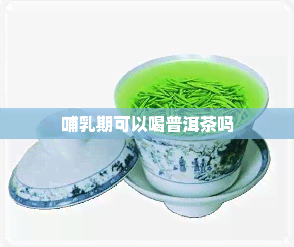 哺乳期可以喝普洱茶吗 哺乳期可以喝普洱茶吗