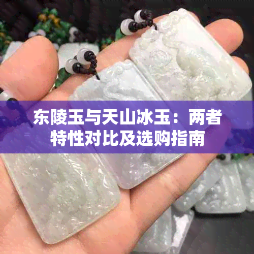 东陵玉与天山冰玉:两者特性对比及选购指南