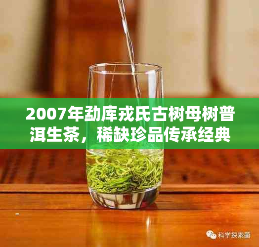 2007年勐库戎氏古树母树普洱生茶，稀缺珍品传承经典风味