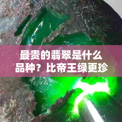 最贵的翡翠是什么品种?比帝王绿更珍贵的顶级翡翠揭秘