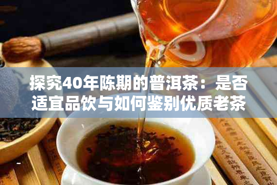 探究40年陈期的普洱茶:是否适宜品饮与如何鉴别优质老茶