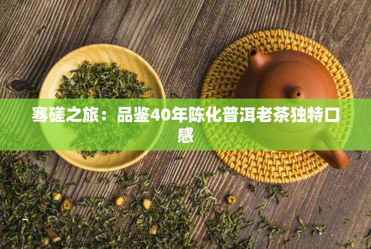骞磋之旅：品鉴40年陈化普洱老茶独特口感