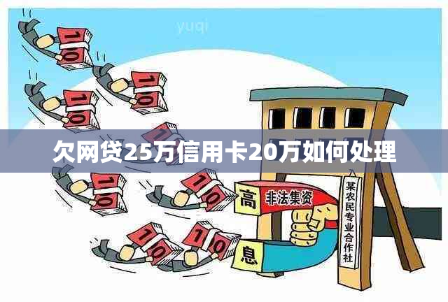 欠网贷25万信用卡20万如何处理