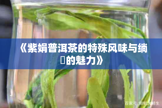 《紫娟普洱茶的特殊风味与绱的魅力》