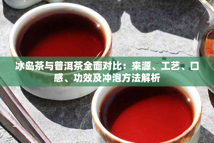 冰岛茶与普洱茶全面对比：来源、工艺、口感、功效及冲泡方法解析