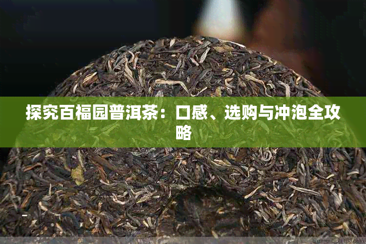 探究百福园普洱茶：口感、选购与冲泡全攻略