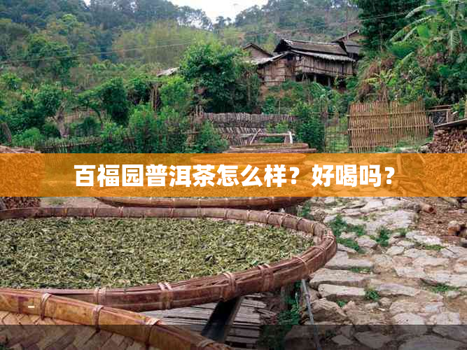 百福园普洱茶怎么样？好喝吗？
