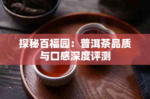 探秘百福园：普洱茶品质与口感深度评测