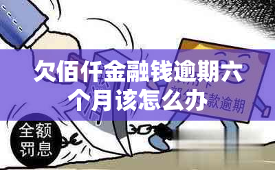 欠佰仟金融钱逾期六个月该怎么办