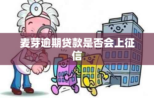 麦芽逾期贷款是否会上
