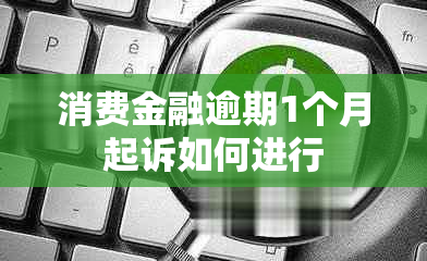 消费金融逾期1个月起诉如何进行