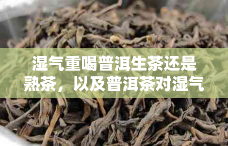 湿气重喝普洱生茶还是熟茶，以及普洱茶对湿气重的适宜性探讨