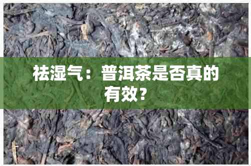 祛湿气：普洱茶是否真的有效？