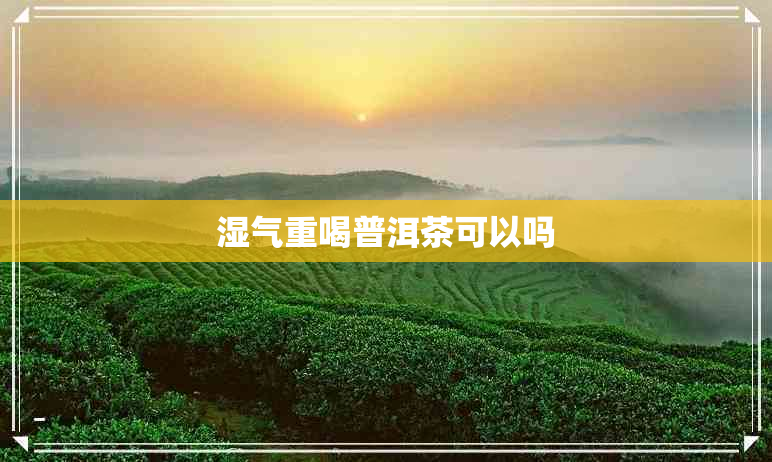 湿气重喝普洱茶可以吗