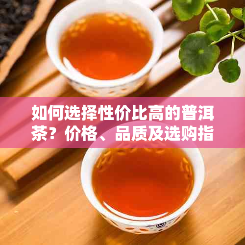 如何选择性价比高的普洱茶?价格、品质及选购指南