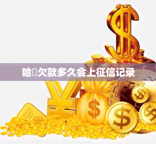 哈啰欠款多久会上记录