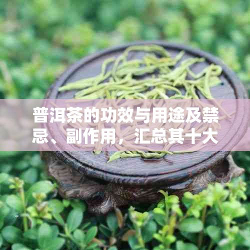 普洱茶的功效与用途及禁忌、副作用，汇总其十大功效