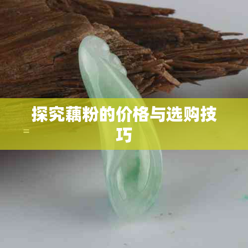探究藕粉的价格与选购技巧
