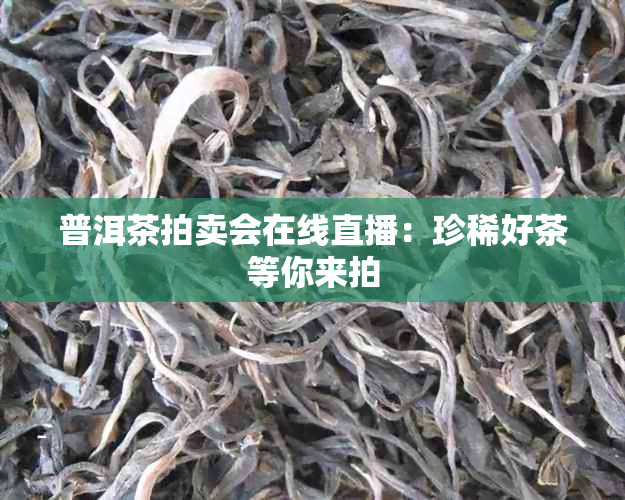 普洱茶拍卖会在线直播：珍稀好茶等你来拍